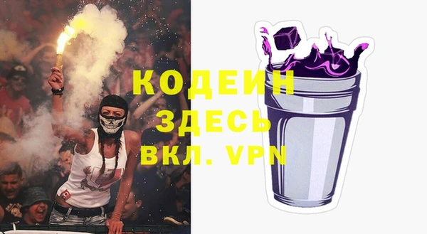СК Ельня