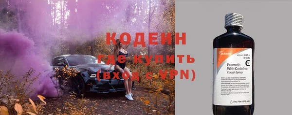 СК Ельня