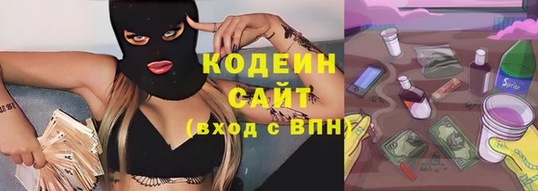 СК Ельня