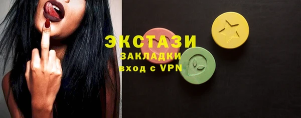 СК Ельня