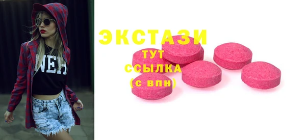 СК Ельня
