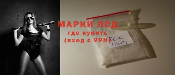 СК Ельня