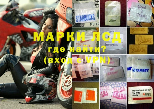 мяу мяу мука Елабуга