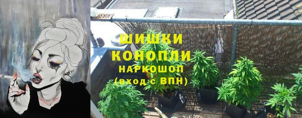 СК Ельня