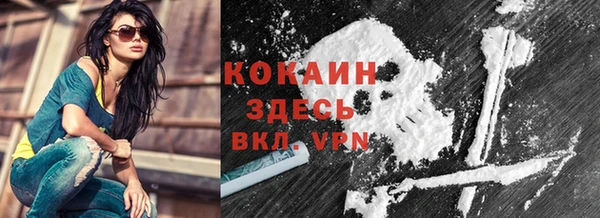 мяу мяу мука Елабуга