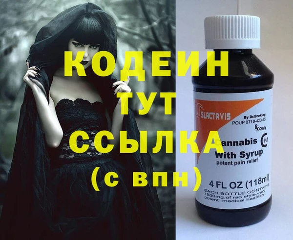 СК Ельня