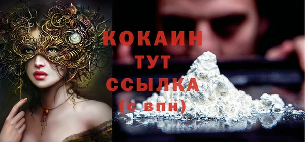 метадон Елизово
