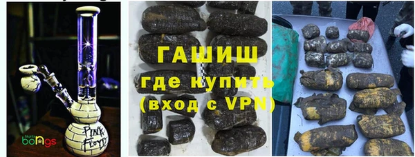 СК Ельня