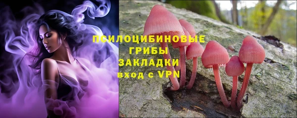 метадон Елизово