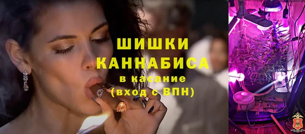 метадон Елизово