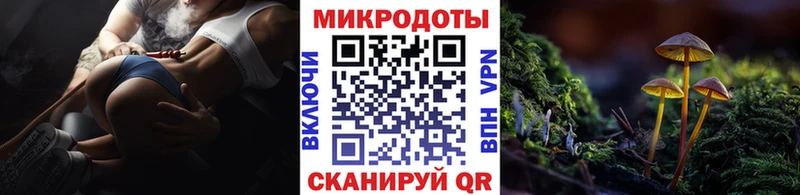 Купить закладки  Отрадное  Псилоцибиновые грибы MAGIC MUSHROOMS 